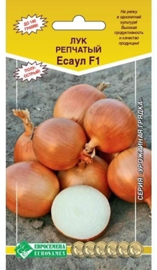 Лук репчатый Есаул