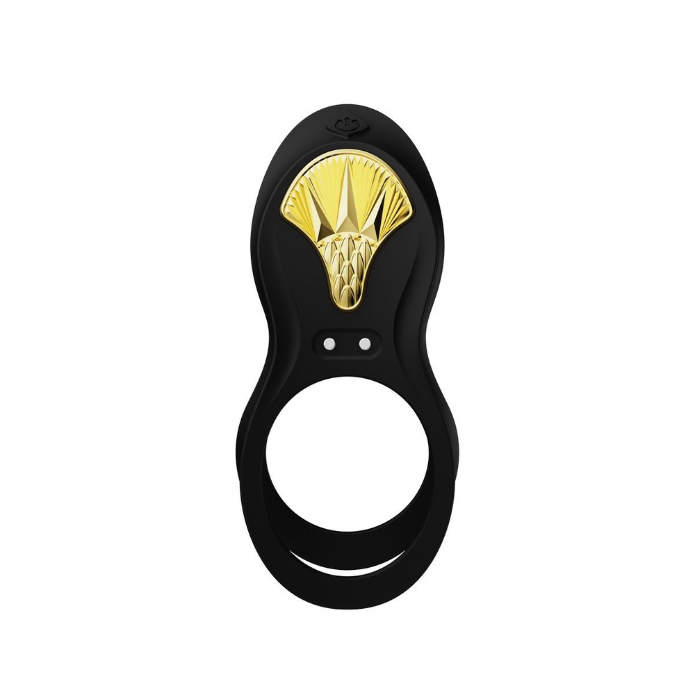 Черное эрекционное виброкольцо Bayek с пультом ДУ (Цвет: черный)