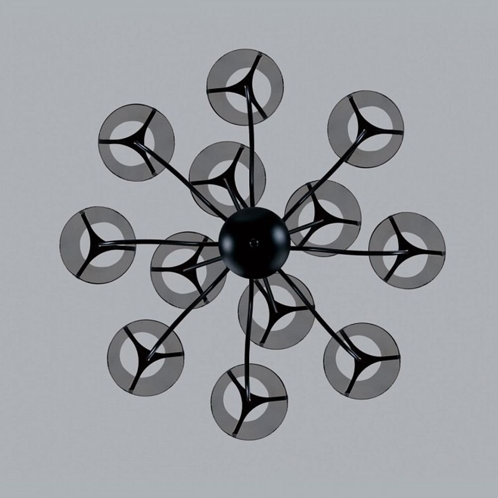 Люстра на штанге Lumion Smoky 6570/12C