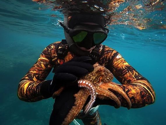 Гидрокостюм Epsealon Brown Fusion Yamamoto 5 мм