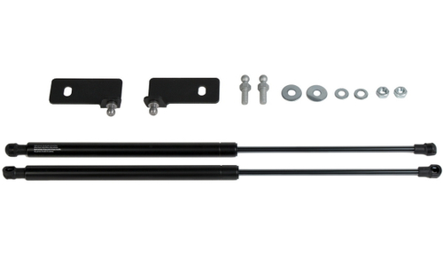 Газовые упоры капота Pneumatic для Ravon R4 2016-2020, 2 шт., KU-RV-R400-00