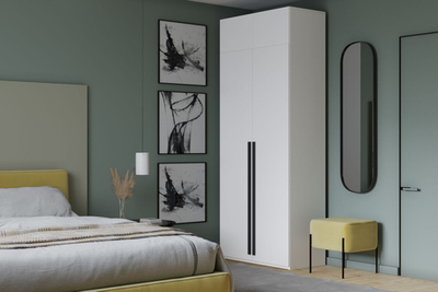 Распашной двухсекционный шкаф Лорена Пакс-2 с антресолью Белый Фасадный 0101  80*50*220