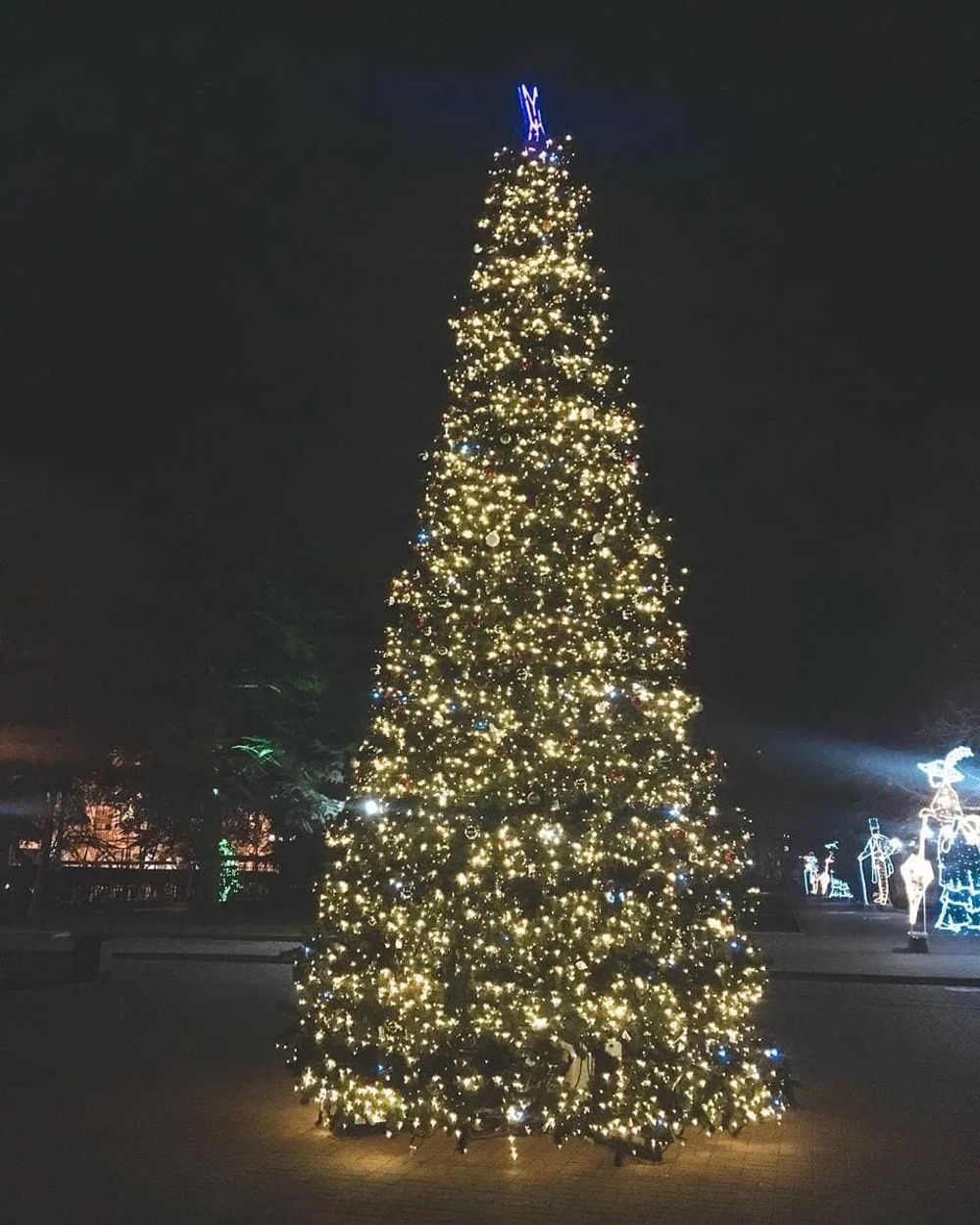 Светодинамическая елка каркасная - встроенная гирлянда: теплый свет - "Уральская" - высота от 4 до 30 м