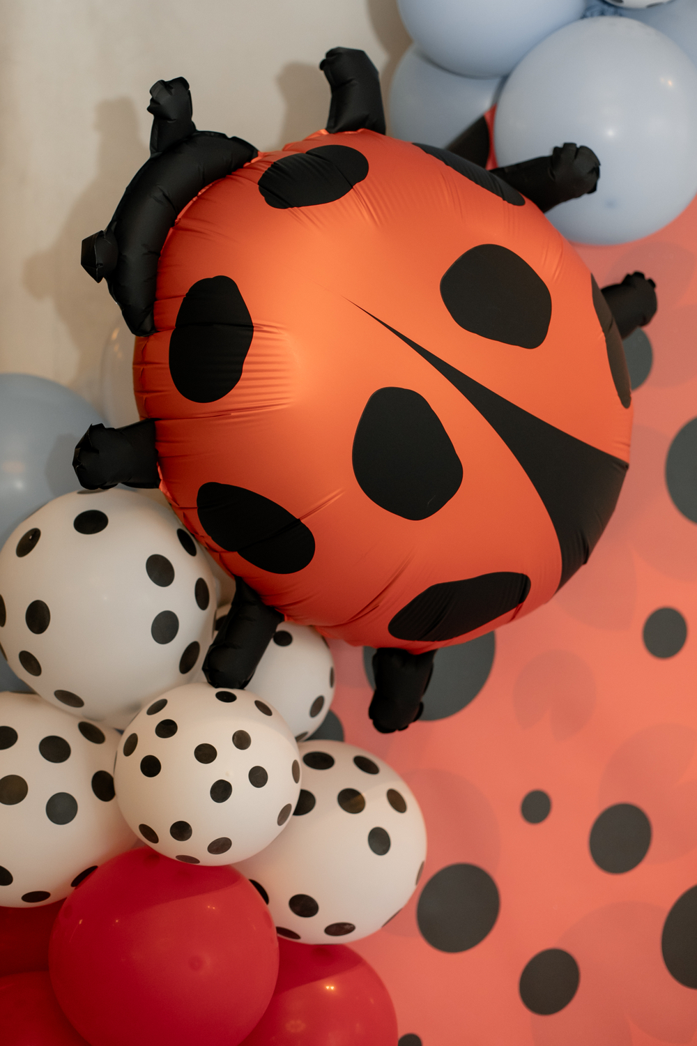 Lady Bug Party