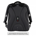 Ранец, спинка эргономичная, 1 отделение, 35*27*13 см, ERGO Light, Shark, КОКОС, 213970