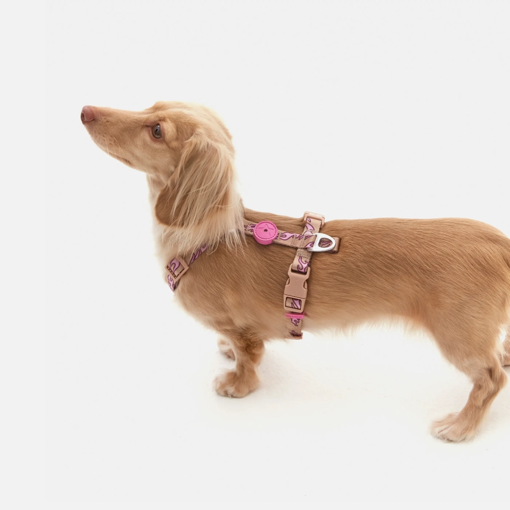 Анатомическая шлейка Hot Flames