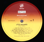 Peter Green / Little Dreamer (LP)