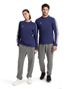 Лонгслив Arena ICONS L/S