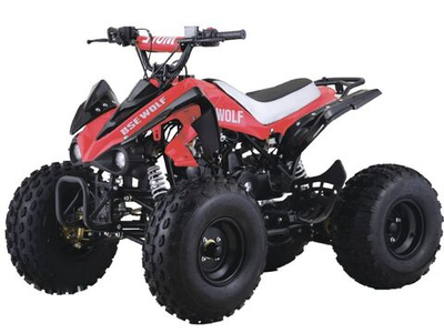 Квадроцикл BSE WOLF
