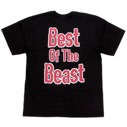 Футболка Iron Maiden Best Of The Beast (393)