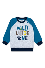 Джемпер д/мал футер р.86 сер (Такро) 1703F-2