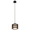 Подвесной светильник Arte Lamp Ring A1320SP-1BK
