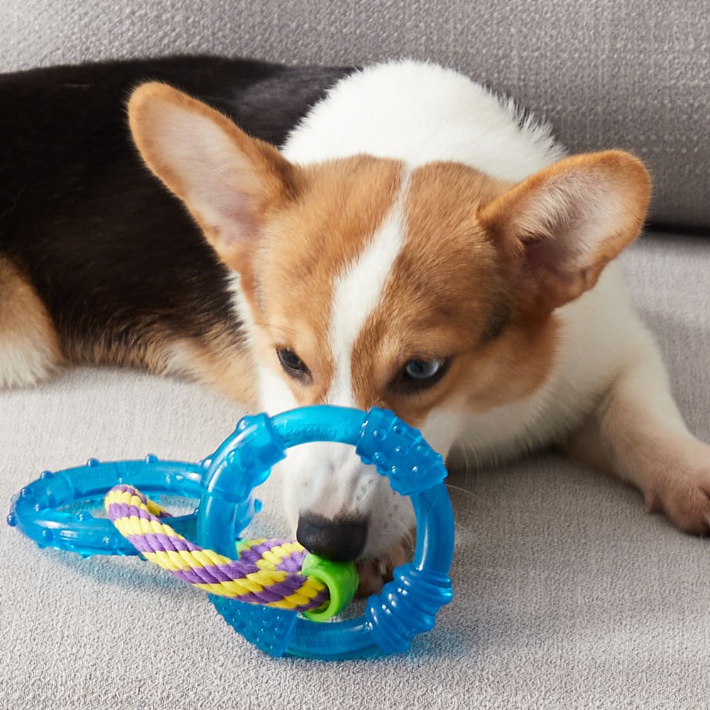 Игрушка Petstages для собак "ОРКА 3 кольца" 23 см Игрушка Petstages для собак "ОРКА 3 кольца" 23 см