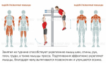 Скамья для пресса двойная