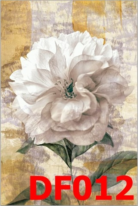 Фото обои - Дизайнерские DF012