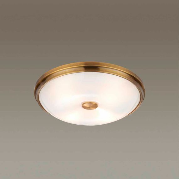 Потолочный светильник Odeon Light Walli Pelow 4956/4