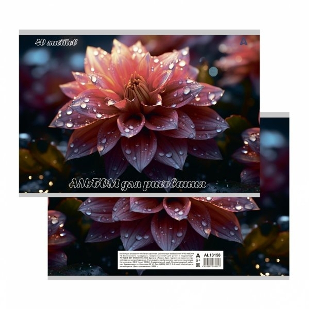 Альбом для рисования А4 40л., Alingar, на скрепке, мелованный картон (стандарт), 100 г/м2, "Цветы", 2 дизайна в пленке т/у