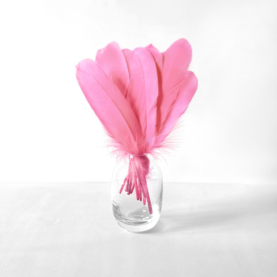 Гусиные перья розовые ровные 20шт.