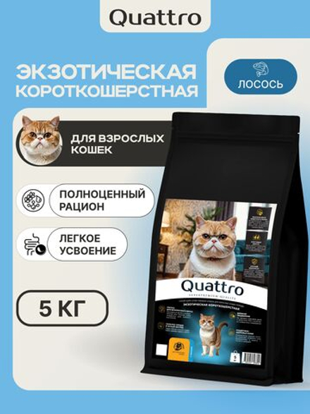 Корм сухой для взрослых кошек породы Экзотическая короткошерстная, с лососем, 5 кг, QUATTRO