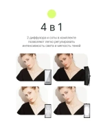 Стрипбокс Raylab SPG35140 с сотами