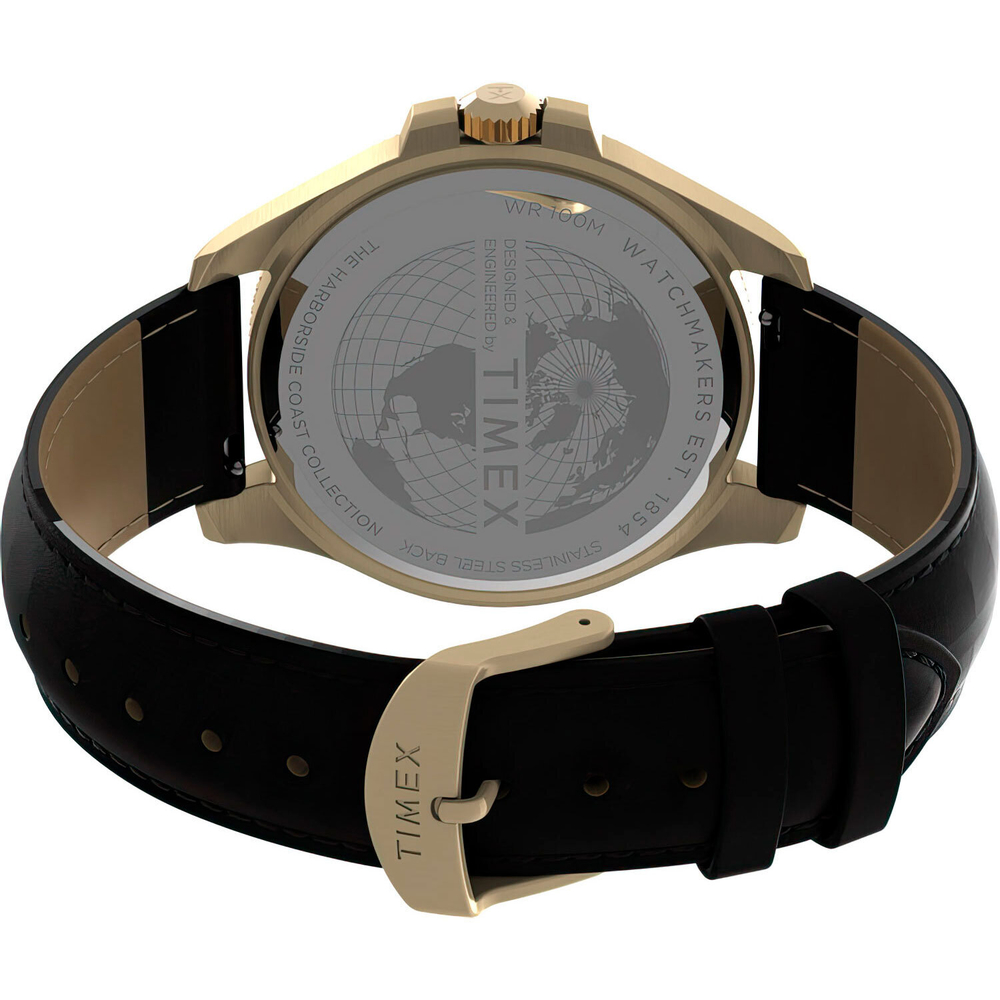 Мужские наручные часы Timex TW2V42200