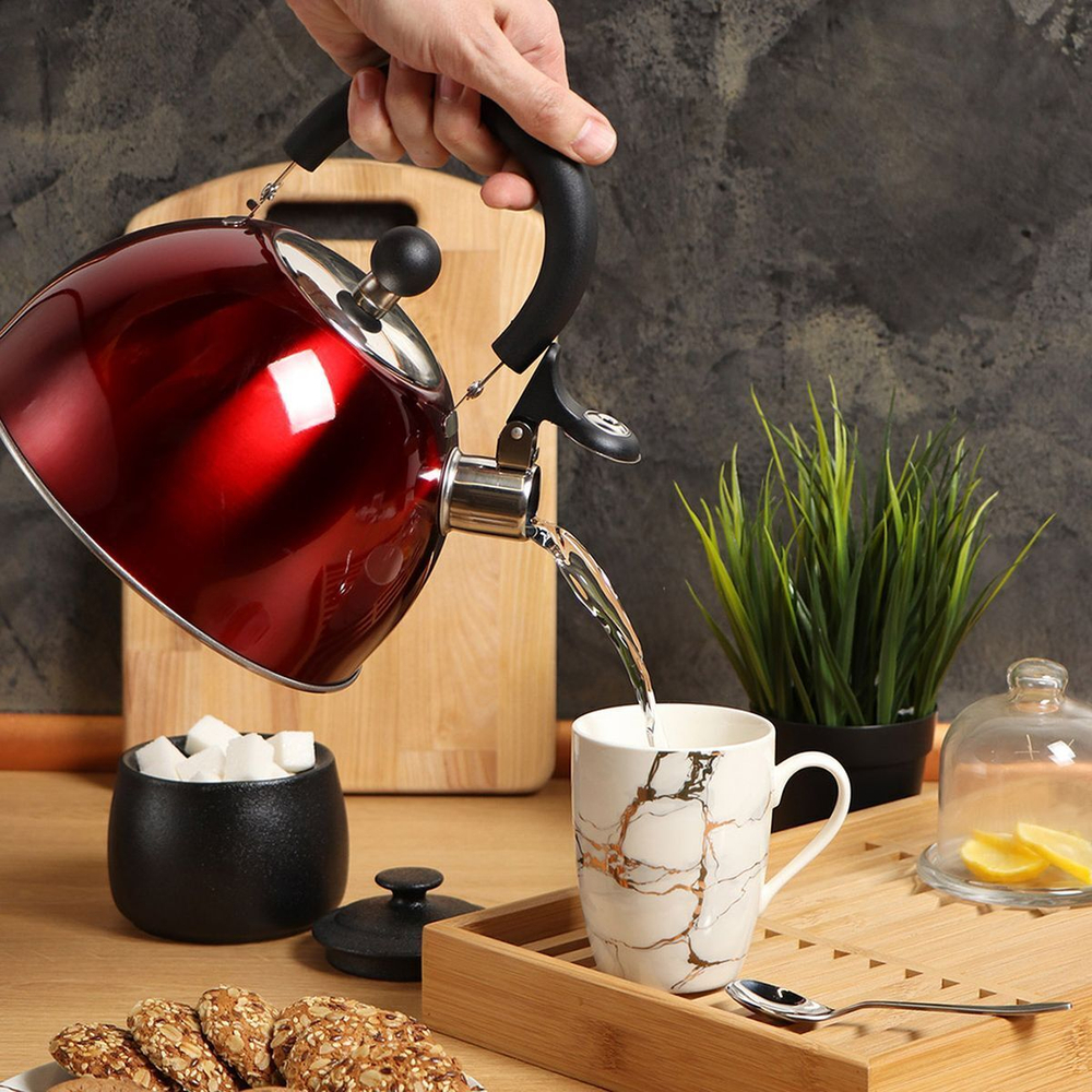 Чайник нерж, 2.5 л, свист, зеркал, ручк пластик, Daniks, индукц, красн, MSY-021R