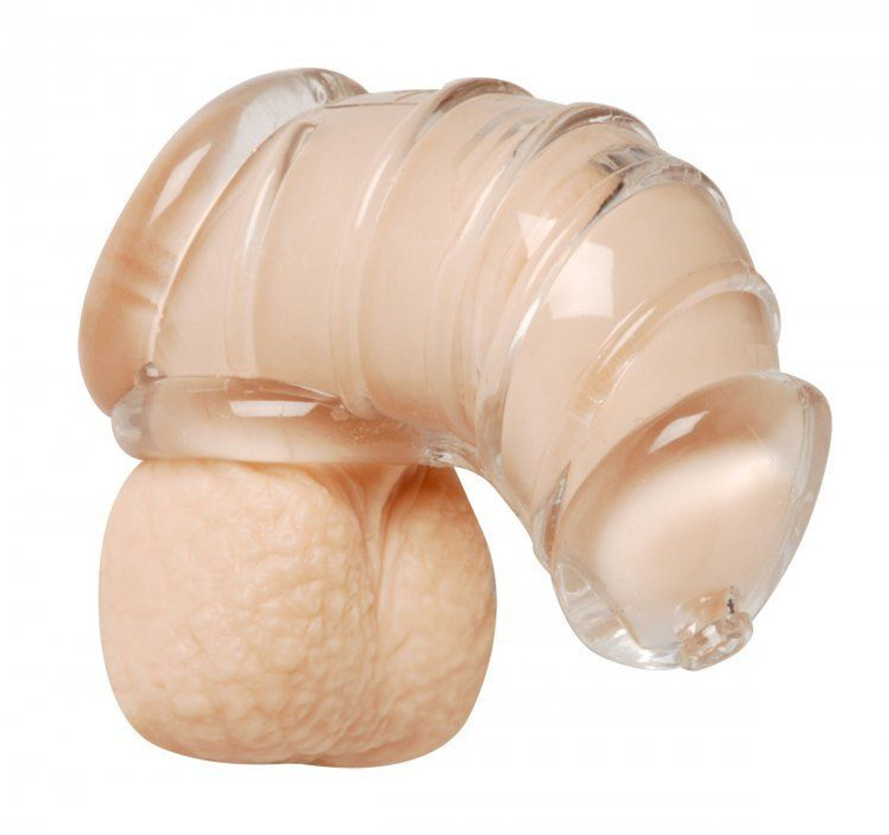 Насадка для ограничения эрекции Detained Soft Body Chastity Cage (Цвет: прозрачный)