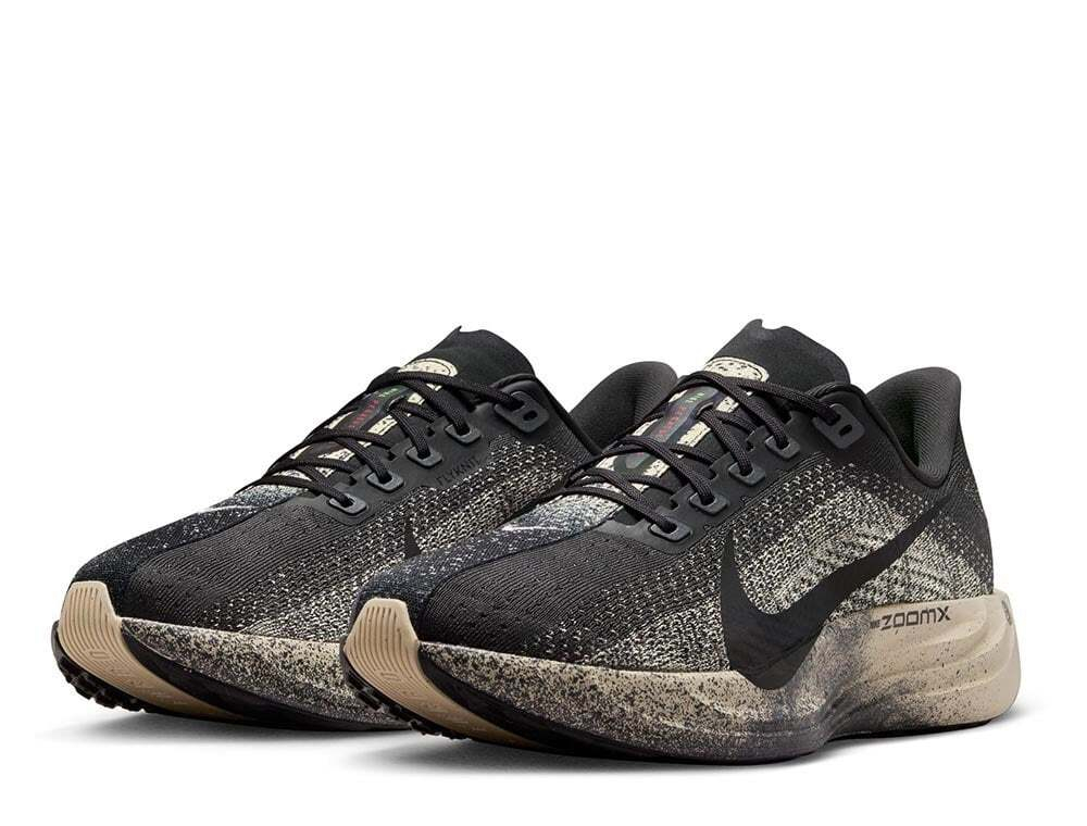 Кроссовки для бега мужские Nike Pegasus Plus M Серо-Черный