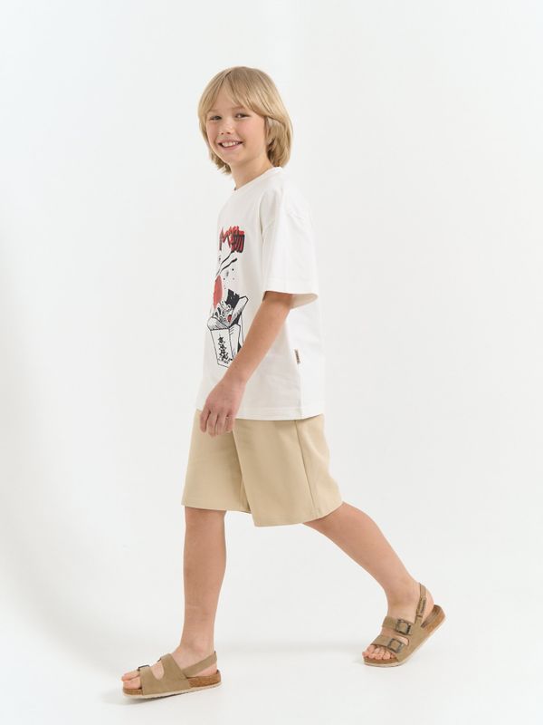 Шорты бермуды 