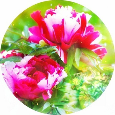 Вебинар-Интенсив 
"Эмоциональная Алхимия". Часть 6