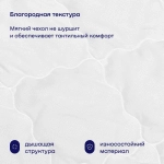 Одеяло с эвкалиптом BuyRest