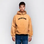 Худи Dissident DD Arch Logo кэмэл