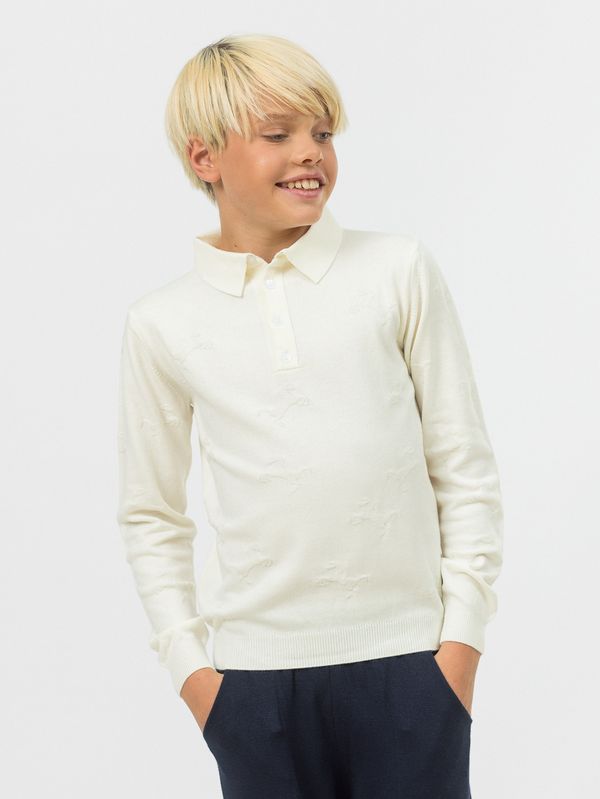 Поло для мальчика с длинным рукавом AT724 молочный