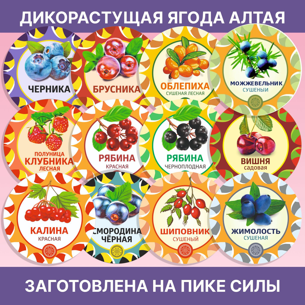 Жимолость молотая.