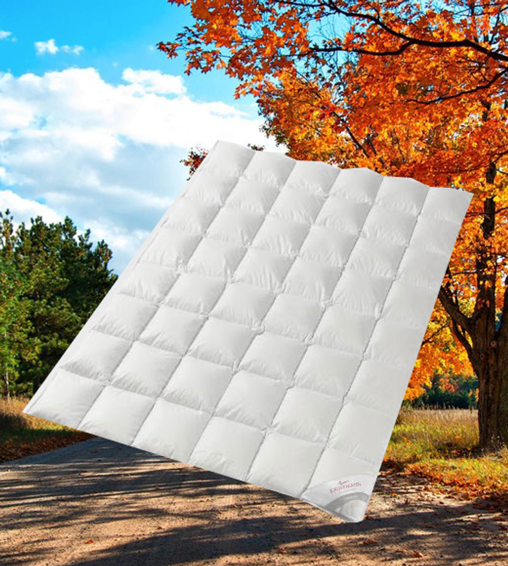 Одеяло пуховое легкое 220х240 Kauffmann Legend 650 Австрия