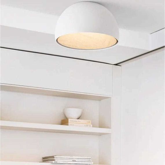 Потолочный светодиодный светильник Imperium Loft Bara 223999-23