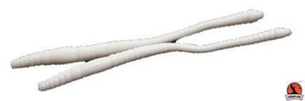 Приманка Libra Lures Dying Worm 70 (001) (Сыр) (7.0см) 15 шт. DW70-C-001