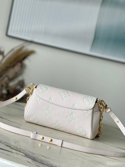 Louis Vuitton Favorite