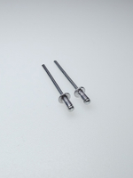 3,2х6 заклепка вытяж.комбинир. (100 шт.)