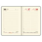 Ежедневник датированный 2025 А5 138x213 мм BRAUBERG "Goldy", под кожу, цветной срез, черный, 115898