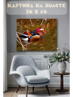 Картина на стену 40 X 50 Утка мандаринка
