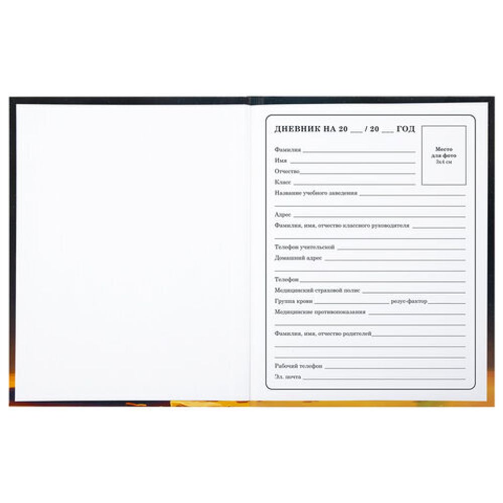 Дневник 1-4 класс 48 л., твердый, BRAUBERG, глянцевая ламинация, с подсказом, "Милый котик", 106835