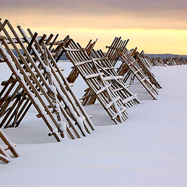 Снегозадержание в марте: как накопить драгоценную влагу у корней деревьев