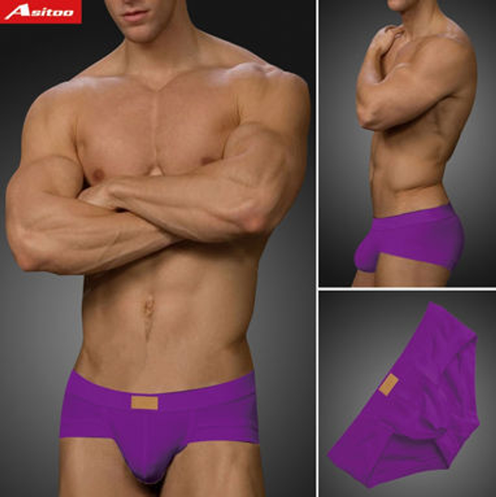 Мужские трусы брифы Asitoo Modal Brief Purple