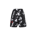 Шорты Jordan, CZ4758-010