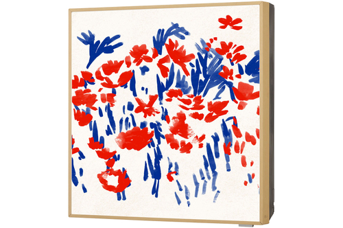 LG PROMULTI 2.0 A09GA1.NSER