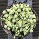 Крими Иден — букет романтических кустовых роз