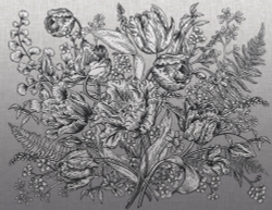 Коллекция Grafika Natura