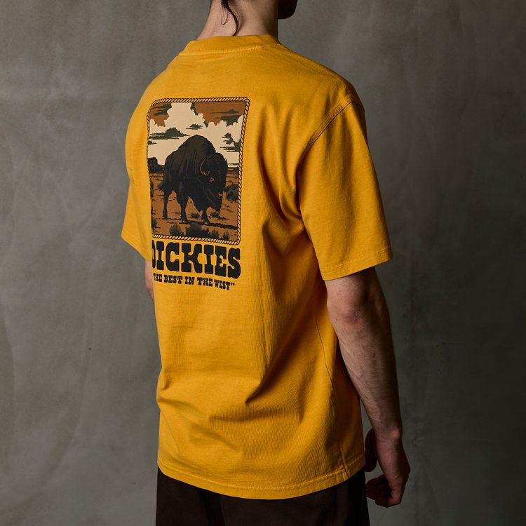 Футболка мужская Dickies Darrtown Short Sleeve Tee 