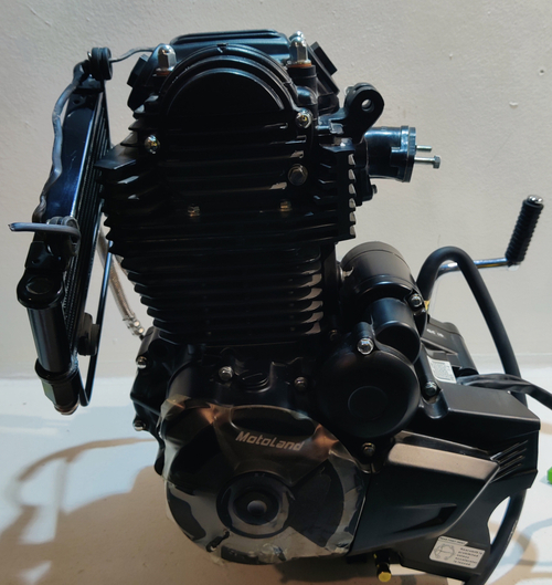 Двигатель 250см3 172FMM (с балансирующим валом) масл.рад.